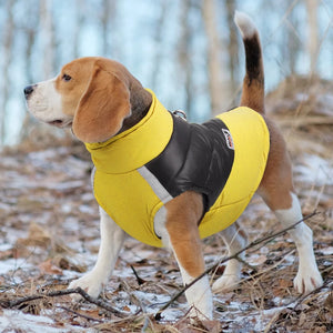 Pawflect - Chaqueta impermeable para perros