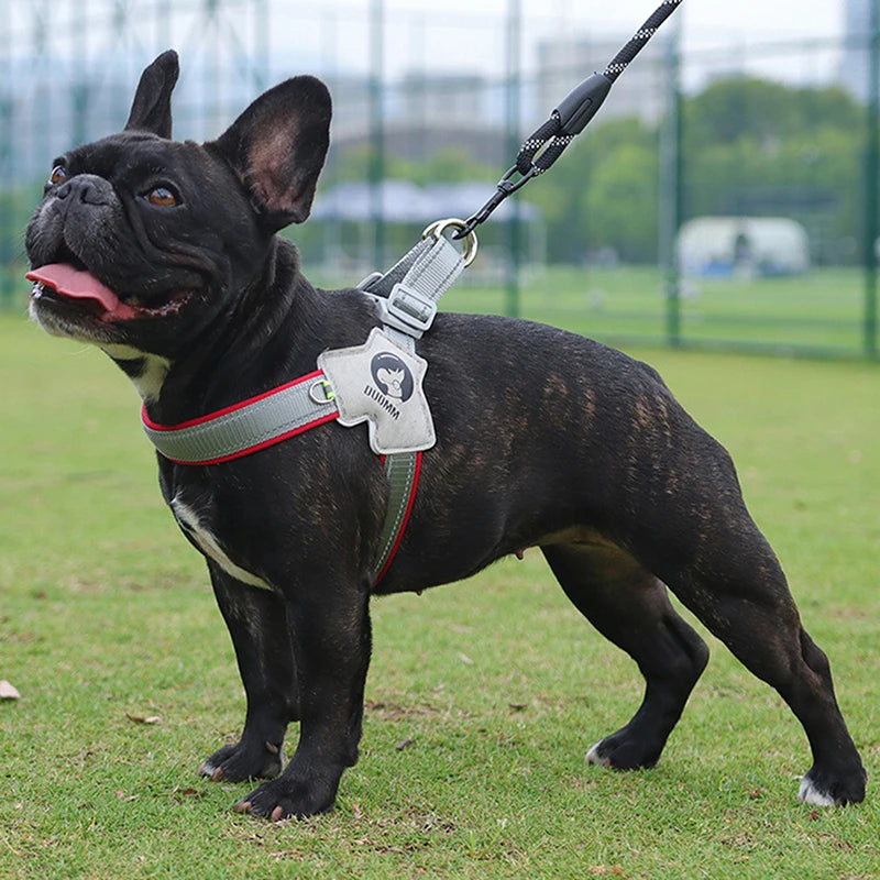 Arnés para perros pequeños con cinturones de seguridad ajustables